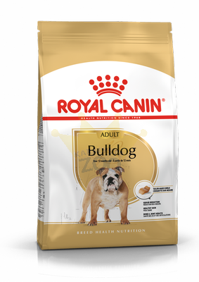 ROYAL CANIN Bulldog Adult 12kg Šunų maistas + STAIGMENA ŠUNUI