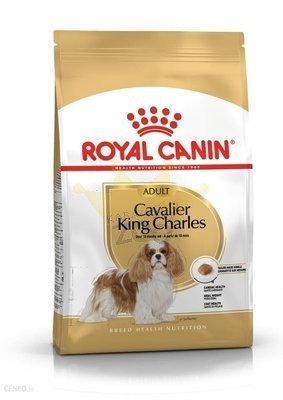 ROYAL CANIN Cavalier King Charles Spaniel Adult 1,5 kg sausas maistas suaugusiems kavalier king charles spanieliams + STAIGMENA ŠUNUI