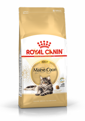 ROYAL CANIN Maine Coon Adult 31 2kg