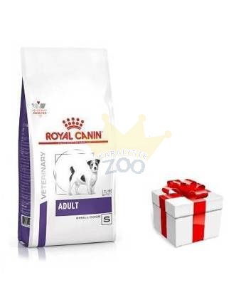 Royal Canin Adult Small Dog 4kg + STAIGMENA ŠUNUI