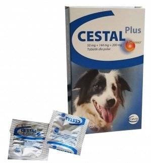 Cestal Dog Plus Flavour tabletės nuo kirmėlių 2 vnt.
