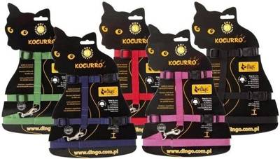 DINGO rinkinio "KOCURRO" petnešos + pavadėliai didelėms katėms