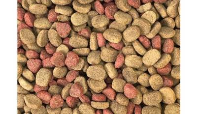 DINO sausas maistas šunims su jautiena 20kg