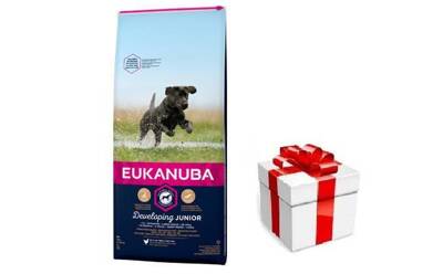 EUKANUBA Developing Junior Large Breed 3kg + STAIGMENA ŠUNUI