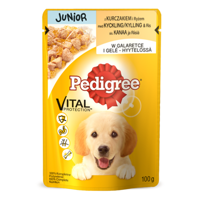 PEDIGREE Junior paketėlis 100g - drėgnas šunų maistas su vištiena ir ryžiais drebučiuose