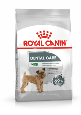 ROYAL CANIN CCN Mini Dental Care 1kg sausas ėdalas suaugusiems mažų veislių šunims, mažinantis dantų akmenų susidarymą