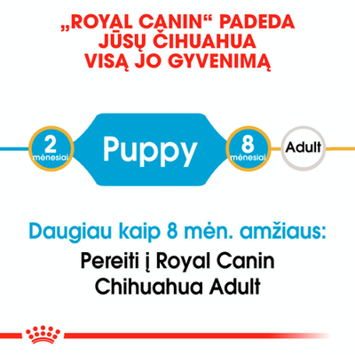ROYAL CANIN Chihuahua Puppy 1,5 kg sauso ėdalo šuniukams iki 10 mėnesių, čihuahua veislės