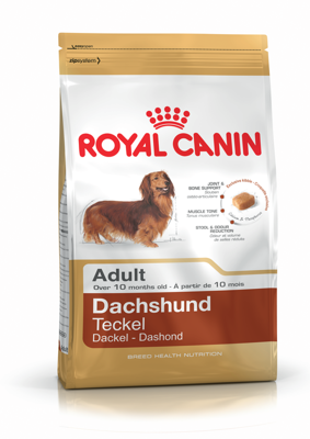 ROYAL CANIN Dachshund 1,5 kg sauso ėdalo suaugusiems taksų veislės šunims