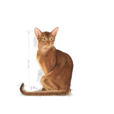ROYAL CANIN Exigent 42 Protein Preference 400g