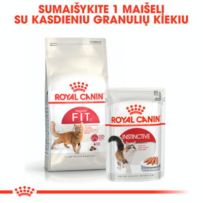 ROYAL CANIN FIT 32 4kg sausas ėdalas suaugusioms katėms idealiai būklei palaikyti