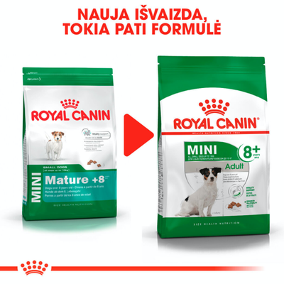 ROYAL CANIN Mini Adult +8 8kg sausas ėdalas vyresniems 8-12 metų amžiaus mažų veislių šunims