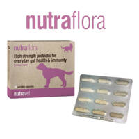 NUTRAVET Nutraflora šunims ir katėms 48 kapsulės - didelio stiprumo probiotikas kasdieniam žarnyno ir imuninės sistemos sveikatinimui