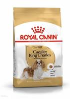 ROYAL CANIN Cavalier King Charles Spaniel Adult 1,5 kg sausas ėdalas suaugusiems Cavalier King Charles Spaniel šunims
